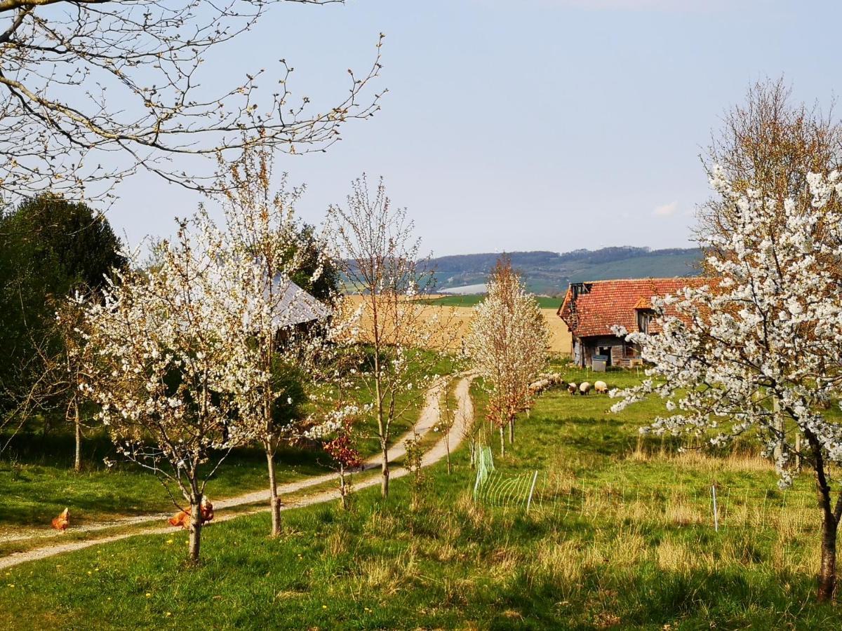 Nature Monchy Campneuseville Exteriér fotografie