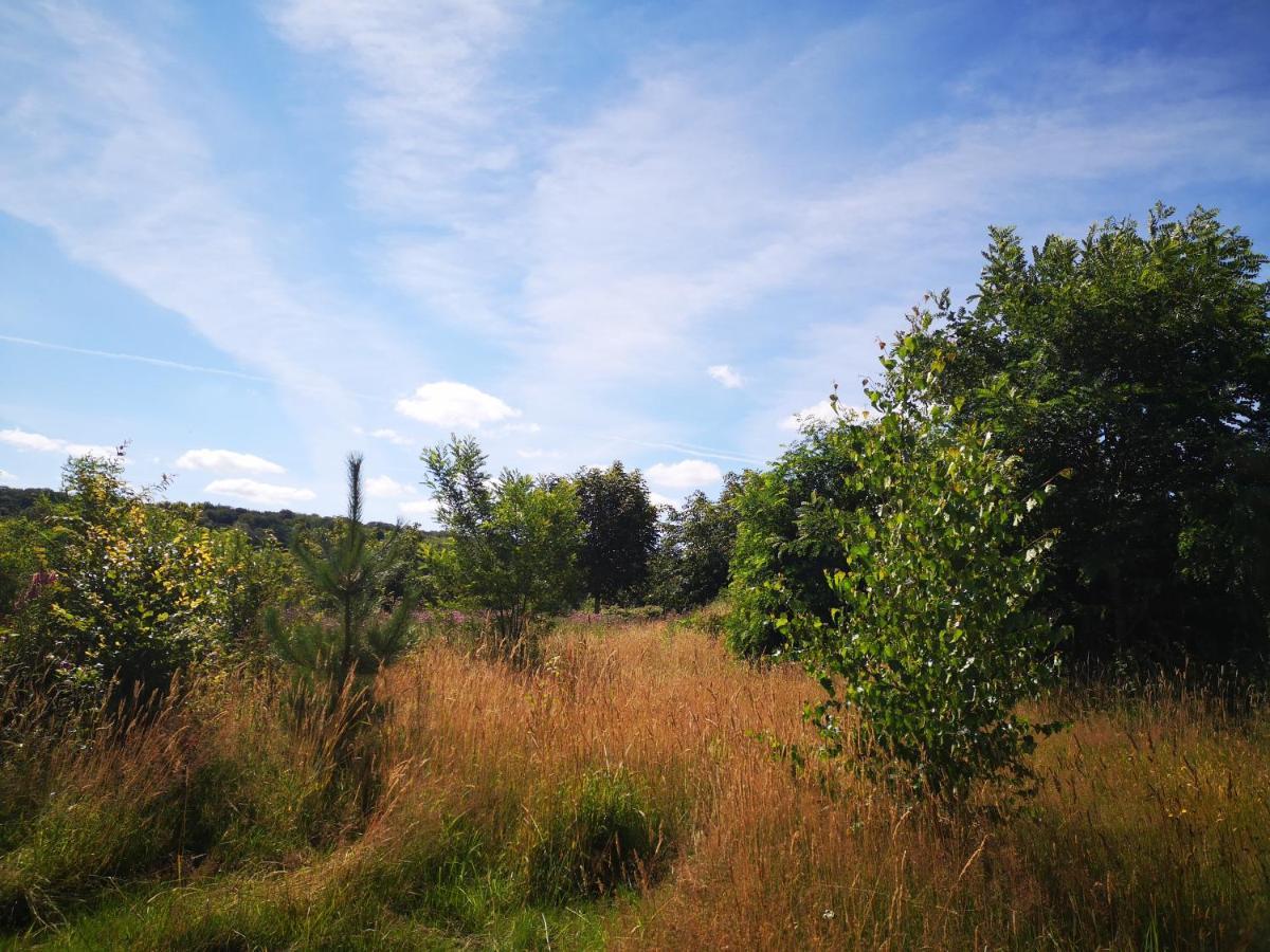 Nature Monchy Campneuseville Exteriér fotografie